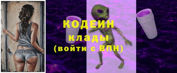 шишки Гусь-Хрустальный